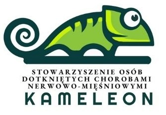 Kameleon logo Kameleon logo